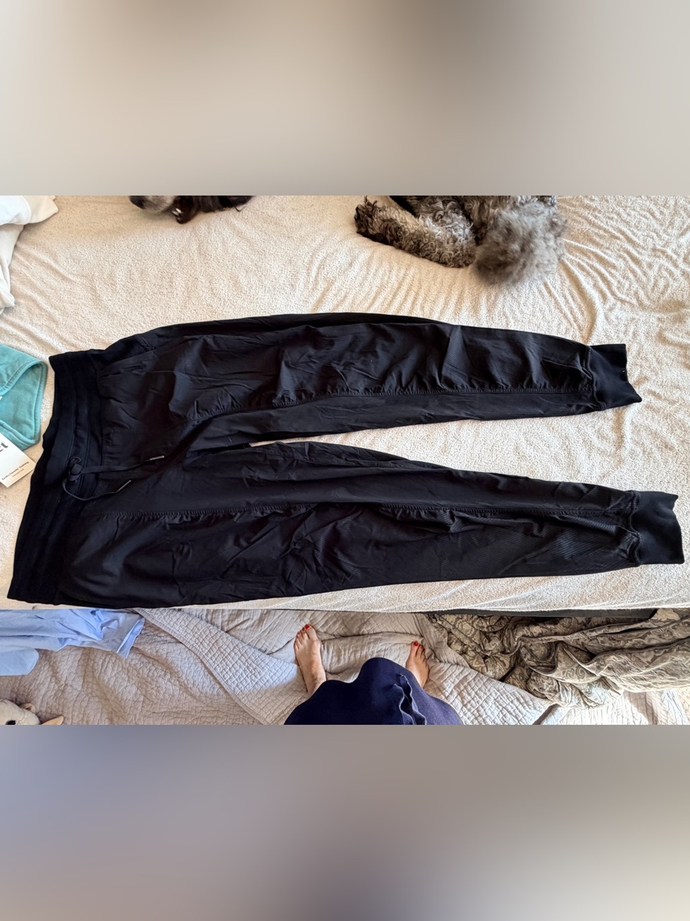 Lululemon Black Women's Jogger Pants - 10